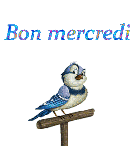 Gif animé Bon mercredi oiseau